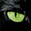 можно ли котел с закрытой камерой сгорания установить в дымоход
